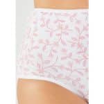 340201. Pack of 4 Ladies High Waisted Full Back Coverage Printed Brief Panty - Image 6